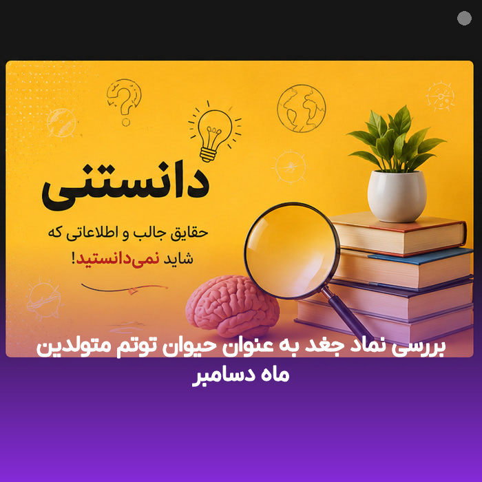 بررسی نماد جغد به عنوان حیوان توتم متولدین ماه دسامبر