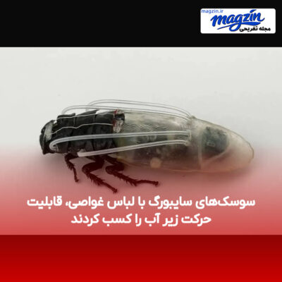 سوسک‌های سایبورگ با لباس غواصی، قابلیت حرکت زیر آب را کسب کردند