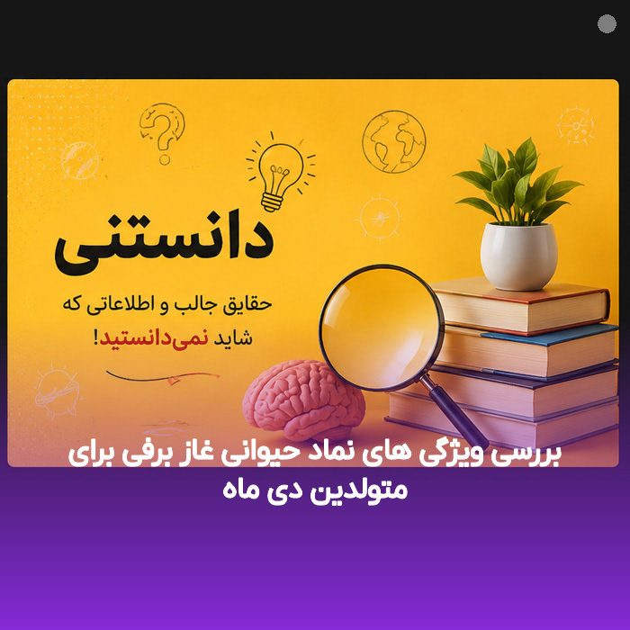 بررسی ویژگی های نماد حیوانی غاز برفی برای متولدین دی ماه