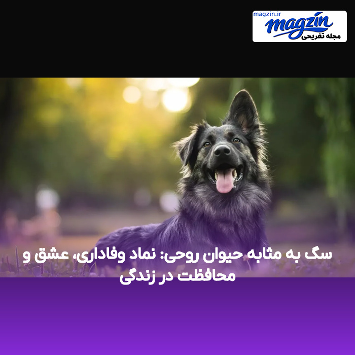 سگ به مثابه حیوان روحی: نماد وفاداری، عشق و محافظت در زندگی
