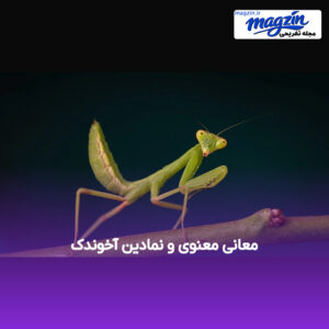 معانی معنوی و نمادین آخوندک