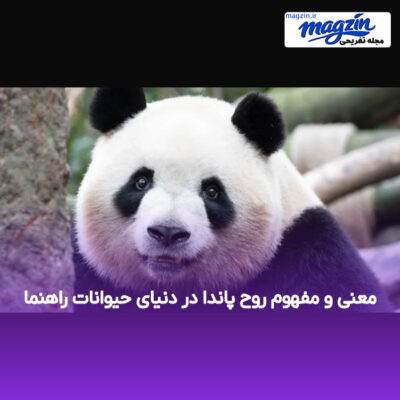 معنی و مفهوم روح پاندا در دنیای حیوانات راهنما