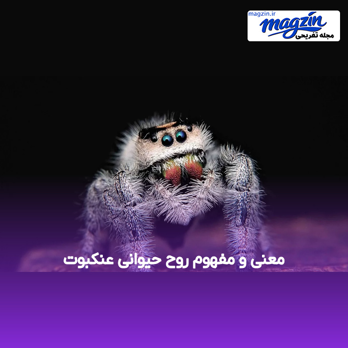 معنی و مفهوم روح حیوانی عنکبوت