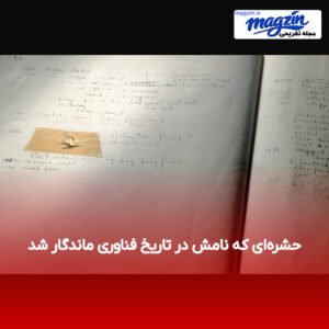 حشره‌ای که نامش در تاریخ فناوری ماندگار شد