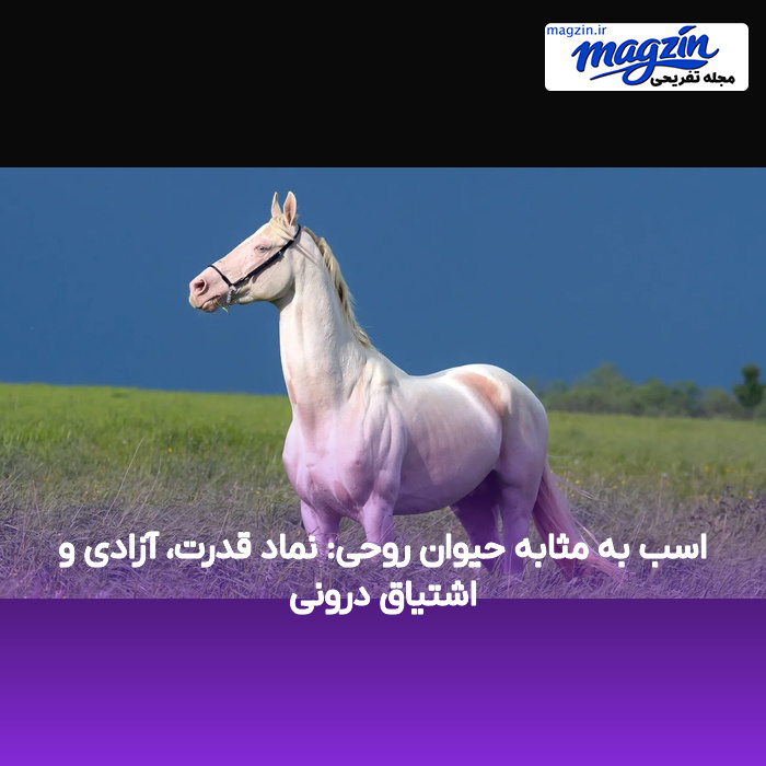 اسب به مثابه حیوان روحی: نماد قدرت، آزادی و اشتیاق درونی