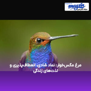 مرغ مگس‌خوار: نماد شادی، انعطاف‌پذیری و لذت‌های زندگی