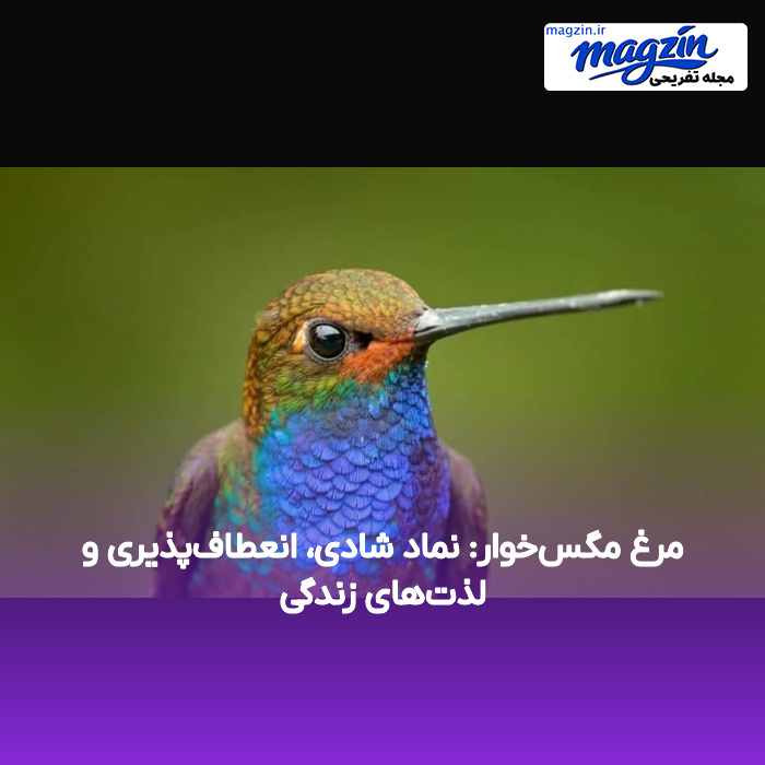 مرغ مگس‌خوار: نماد شادی، انعطاف‌پذیری و لذت‌های زندگی