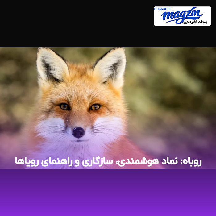 روباه: نماد هوشمندی، سازگاری و راهنمای رویاها