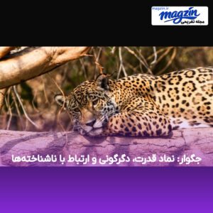 جگوار: نماد قدرت، دگرگونی و ارتباط با ناشناخته‌ها