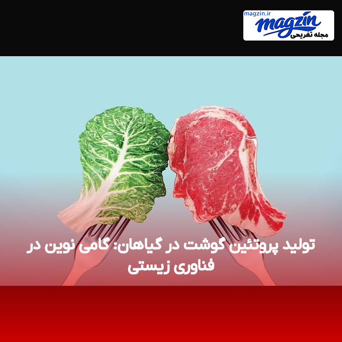 تولید پروتئین گوشت در گیاهان: گامی نوین در فناوری زیستی