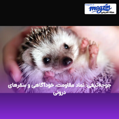 جوجه‌تیغی: نماد مقاومت، خودآگاهی و سفرهای درونی