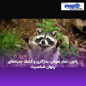 راکون: نماد هوش، سازگاری و کشف جنبه‌های پنهان شخصیت