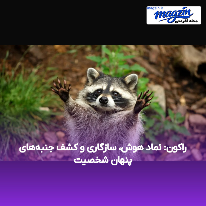 راکون: نماد هوش، سازگاری و کشف جنبه‌های پنهان شخصیت