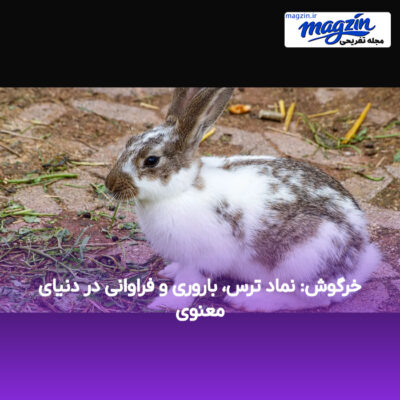 خرگوش: نماد ترس، باروری و فراوانی در دنیای معنوی