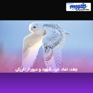 جغد: نماد خرد، شهود و عبور از تاریکی