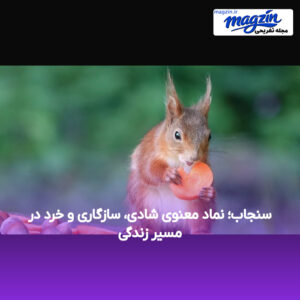 سنجاب؛ نماد معنوی شادی، سازگاری و خرد در مسیر زندگی