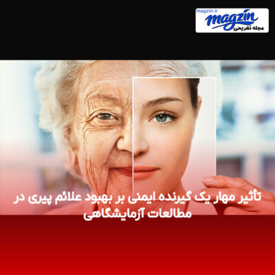 تأثیر مهار یک گیرنده ایمنی بر بهبود علائم پیری در مطالعات آزمایشگاهی