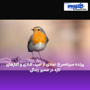 پرنده سینه‌سرخ؛ نمادی از امید، شادی و آغازهای تازه در مسیر زندگی