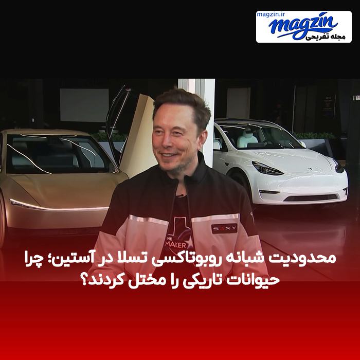 محدودیت شبانه روبوتاکسی تسلا در آستین؛ چرا حیوانات تاریکی را مختل کردند؟