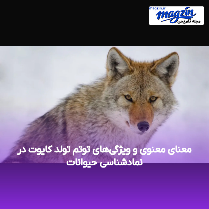 معنای معنوی و ویژگی‌های توتم تولد کایوت در نمادشناسی حیوانات