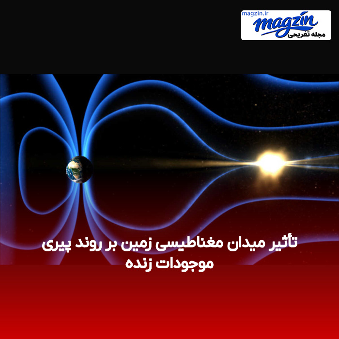 تأثیر میدان مغناطیسی زمین بر روند پیری موجودات زنده